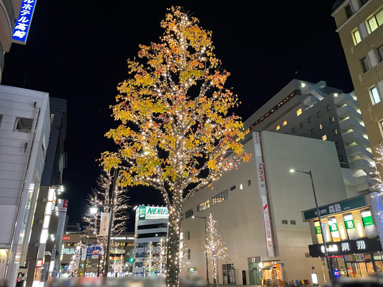 光のページェント2025_外観1201