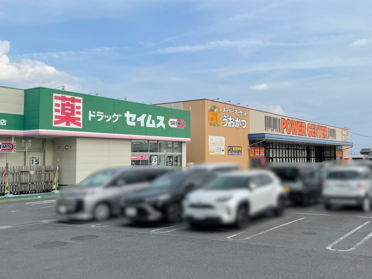 Seims_GM_All0804