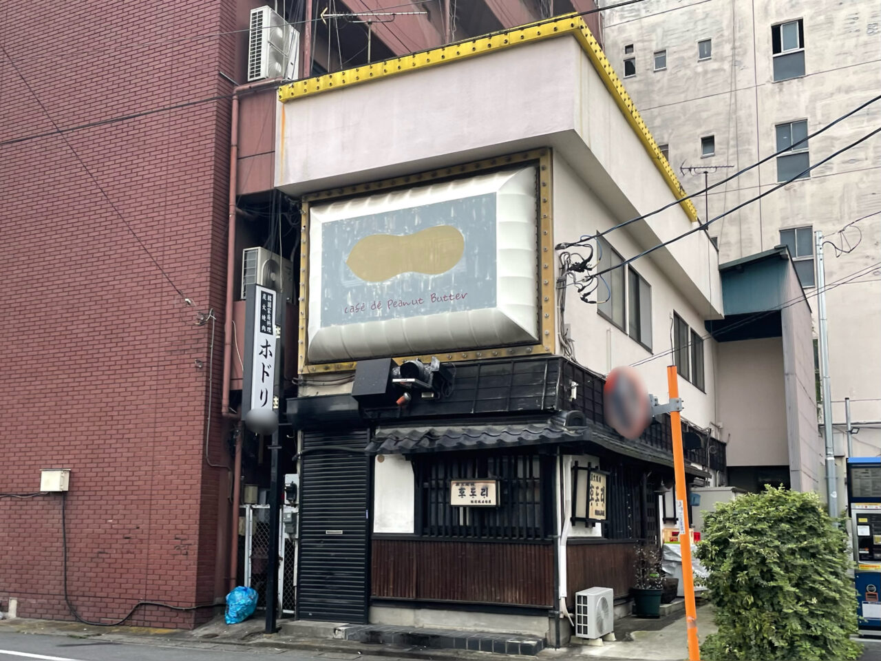 Hodori_Yanagawa_All0901